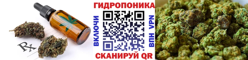 Cannafood конопля  Купить где  Власиха 
