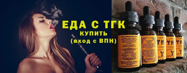 индика Щучье