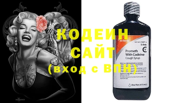 гашик Дмитриев