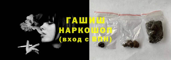 индика Щучье