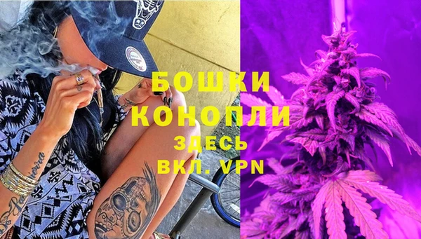 эйфоретик Гусь-Хрустальный