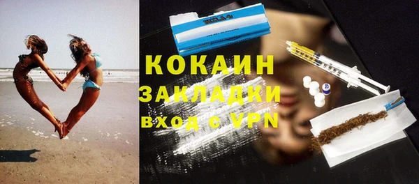 гашик Дмитриев