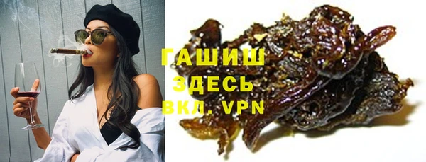 гашик Дмитриев